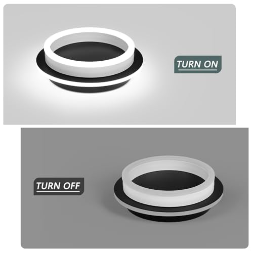 CAMEOE Modern Led Ceiling Light