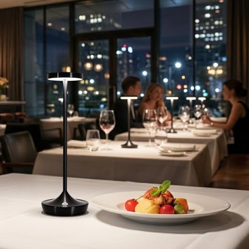 2 Pack Cordless Table Lamps