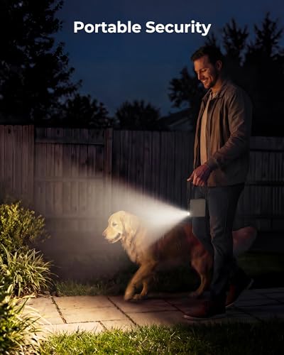 3 Pack Portable Camping Lantern (3 Count)