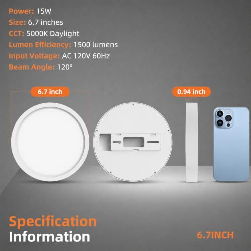 Flush Mount Ceiling Light