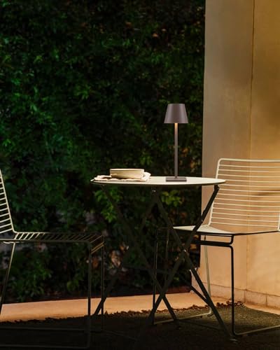 2 Pack Cordless Brown Table Lamps (2 Count)
