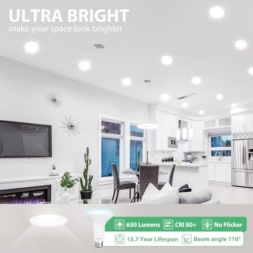 6 Pack BR30 LED Recessed Light Bulb (6 Count)