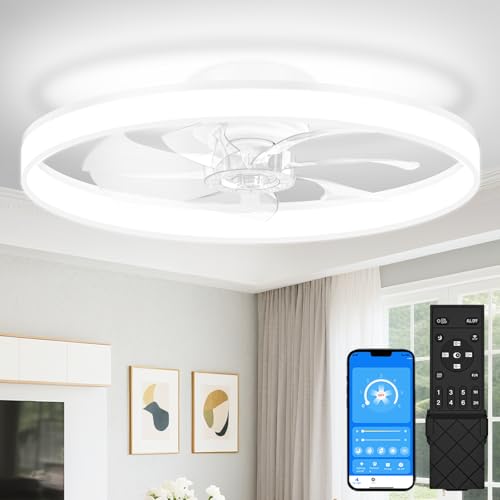 Low Profile Ceiling Fans with Lights and Remote