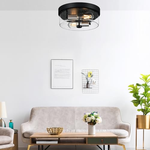 Flush Mount Ceiling Light Fixtures
