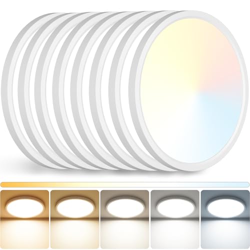 12 inch LED Ceiling Light