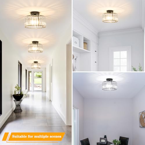 Crystal Ceiling Light Fixture