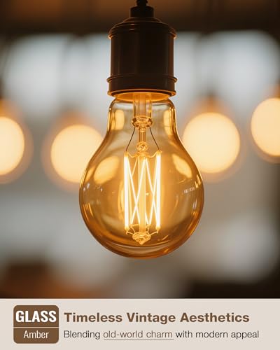 12 Pack A19 Amber Edison Bulbs (12 Count)