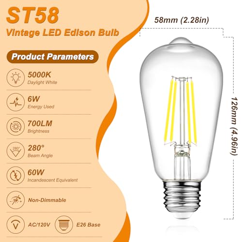 Vintage LED Edison Bulbs (12 Count)