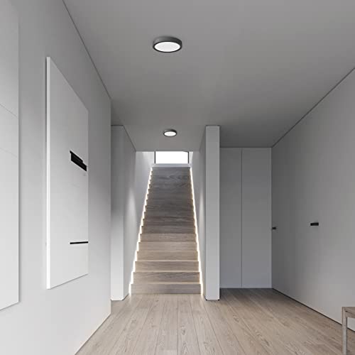 Flush Mount Ceiling Light Fixture