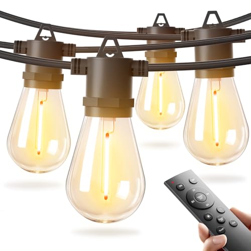 25FT LED Outdoor String Lights (25 Foot)