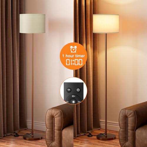 Floor Lamps for Living Room with Remote Control and Stepless Dimmable Colors Temperature & Brightness