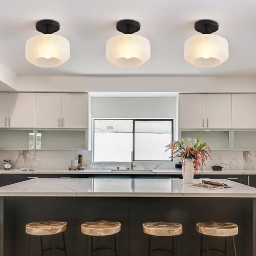 Industrial Black Matte Light Fixtures Ceiling Mount
