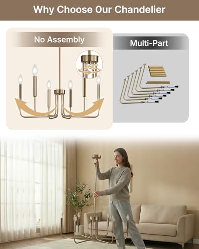6 Light Champagne Bronze Chandelier