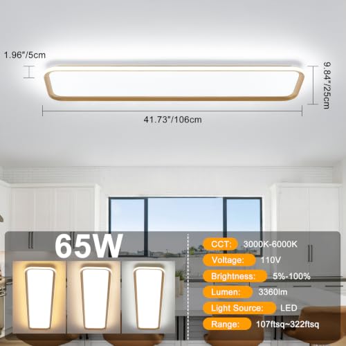 Modern LED Ceiling Light