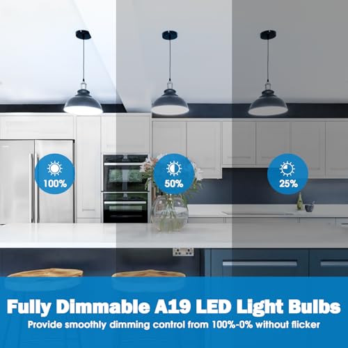 A19 LED Light Bulb 60W Equivalent (4 Count)