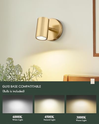 1 Light Wall Sconce