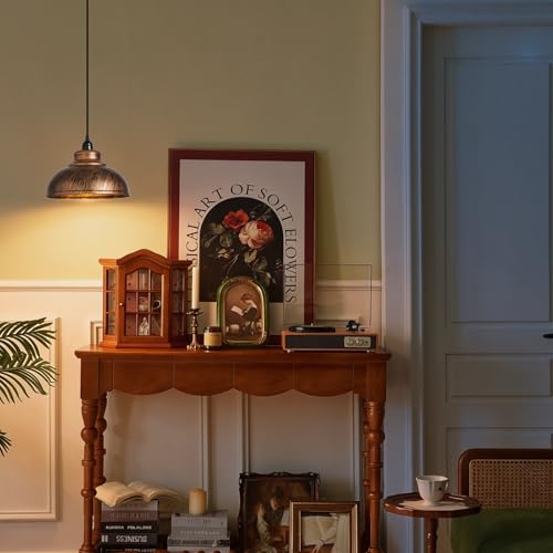 Plug in Pendant Light