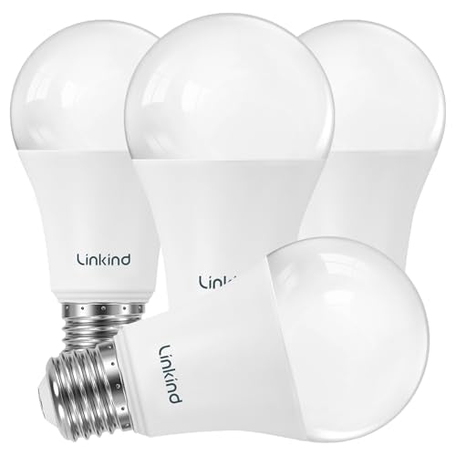 A19 LED Light Bulbs (4 Count)