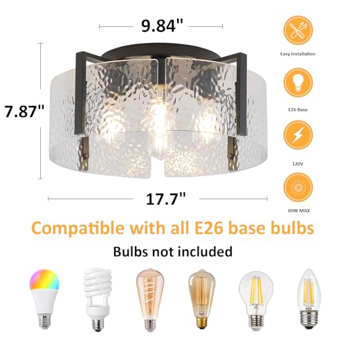 Black Flush Mount Ceiling Light Fixture