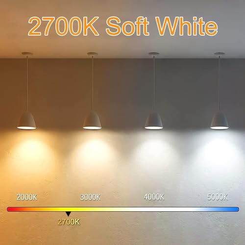 5 Inch Edison Bulb (6 Count)