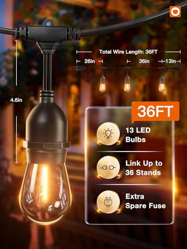 LED Outdoor String Lights 36FT Edison Vintage Weatherproof ETL (36 Foot)