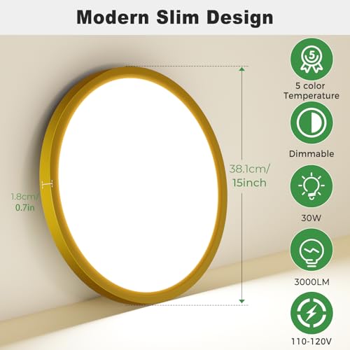2Pack 15" LED Flush Mount Ceiling Light (2 Count)