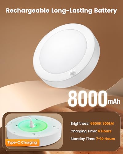 Rechargeable Ceiling Light with Wall Switch Remote