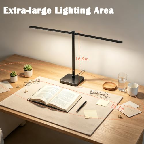 Desk Lamp for Home Office Dual Head 24W Swing Arm Task Lamp Black (Black / Large)