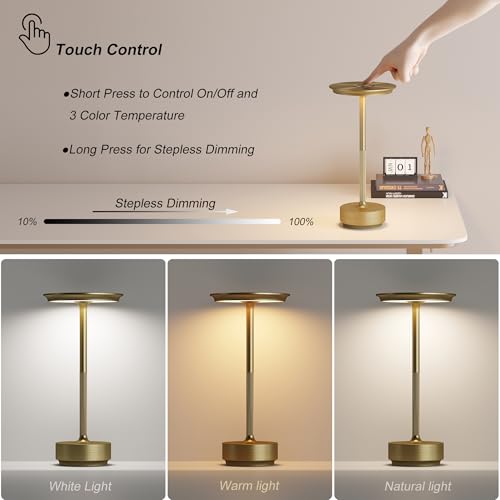 2 Pack Rechargeable Cordless Table Lamp (2 Count)
