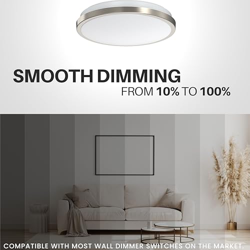 LED Ceiling Light Flush Mount 10 Inches Ceiling Light Fixture Dimmable for Bathroom