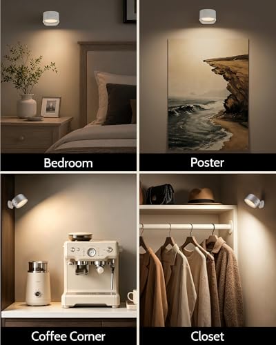 LED Wall Mounted Lights (2 Count)