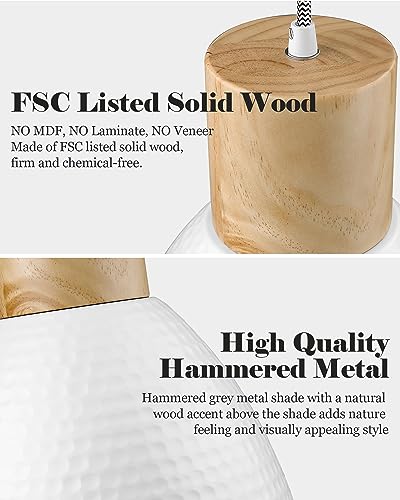 2 Pack Hammered Pendant Light Fixtures (2 Count)