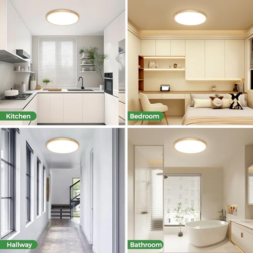 2Pack 12 inch Faux Wood LED Flush Mount Ceiling Lights (2 Count)
