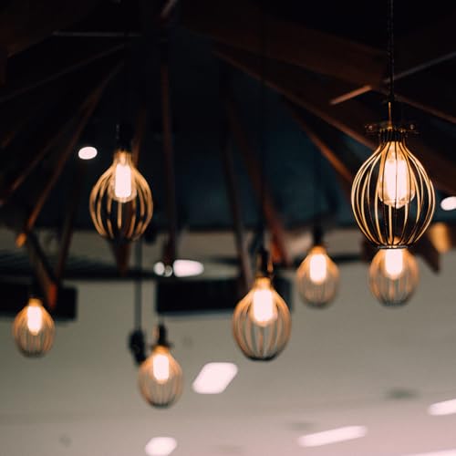 ST19 Vintage Edison LED Light Bulb (8 Count)
