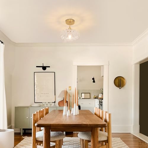 Pendant Light with Clear Scindapsus Glass Lmapshade