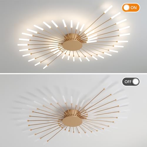 Modern Ceiling Light