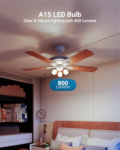 Sunco 10 Pack A15 LED Light Bulb (10 Count)