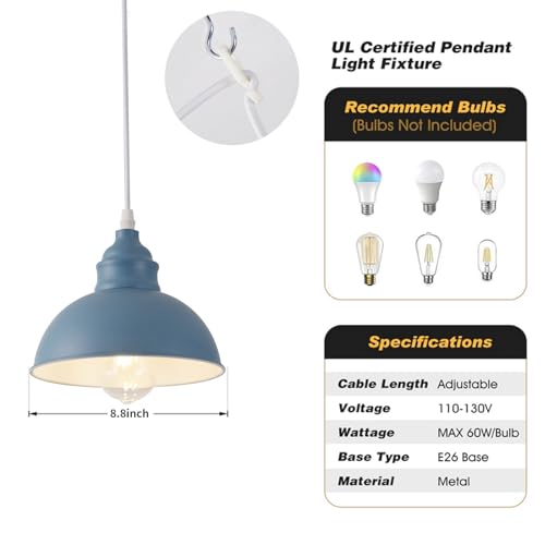 Plug in Pendant Light