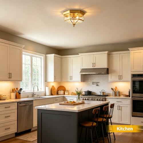 Flush Mount Outdoor Ceiling Light Fixture