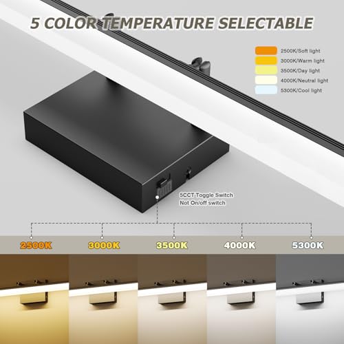 Black Vanity Light 24"
