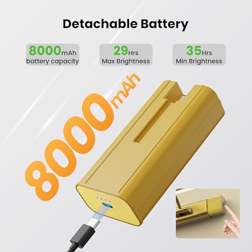 24" Brass Picture Art Light with 1pcs Extra 8000mAh Battery (2 Count)