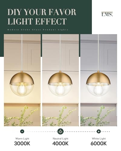 6 inch Modern Pendant Light