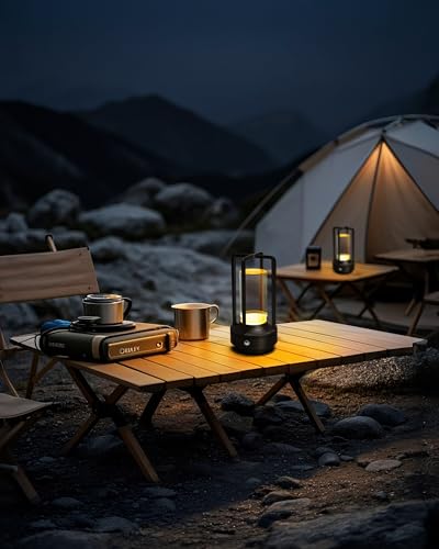Set of 2 Cordless Table Lamps Rechargeable Desk Lamps Black (2 Count)