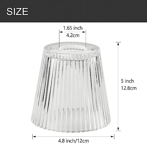3 Pack Clear Glass Shade Covers Replacements (3 Count)