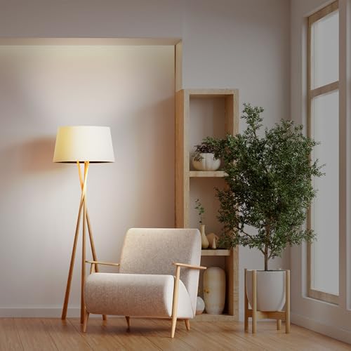 Enhance A19 LED Light Bulb (2 Count)
