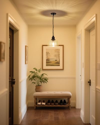 1 Pack Farmhouse Pendant Light