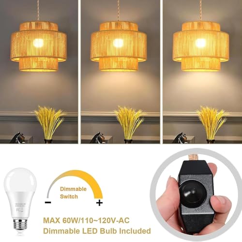 Plug in Pendant Light Hanging Lights with Plug in Cord Boho Hanging Lamp Dimmable