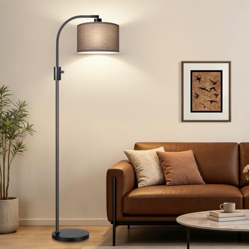Dimmable Black Floor Lamp