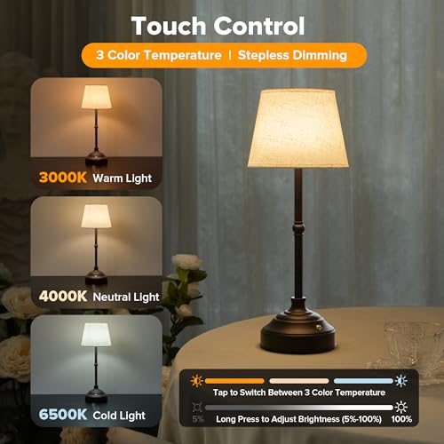 Cordless Table Lamp