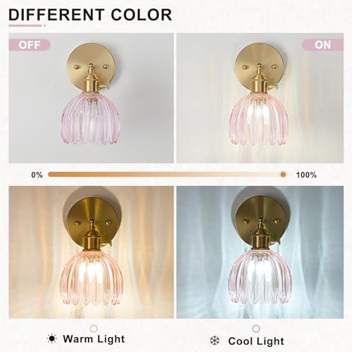 Hardwired Wall Sconce Light